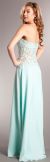 Strapless Vintage Look Floral Bodice Long Formal Prom Dress back